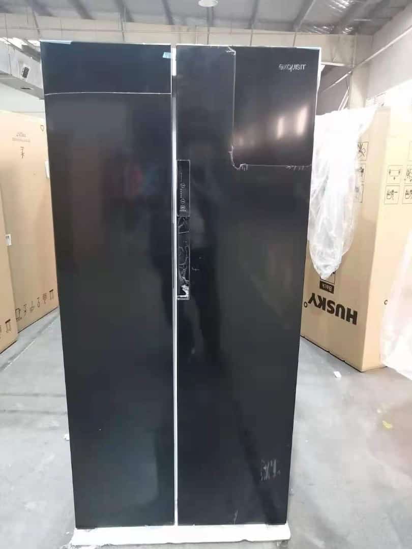 Side by Side refrigerator model number BCD-456W.